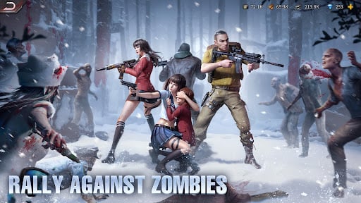 Puzzles &amp; Survival