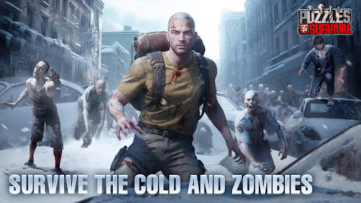 Puzzles &amp; Survival
