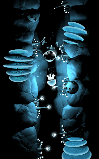 Seashine